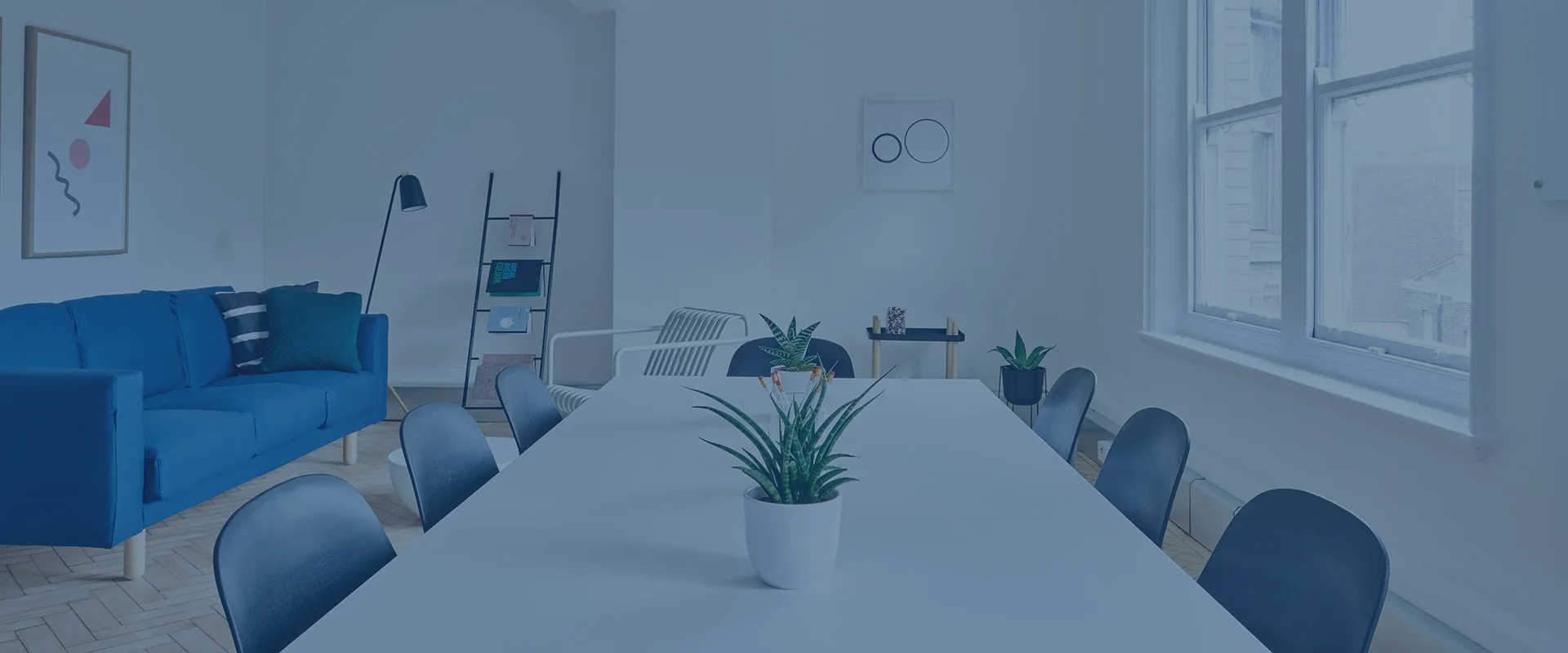 kaiyun.com